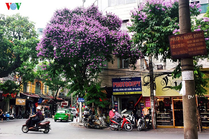 Hanoi aux couleurs de l’été - ảnh 3